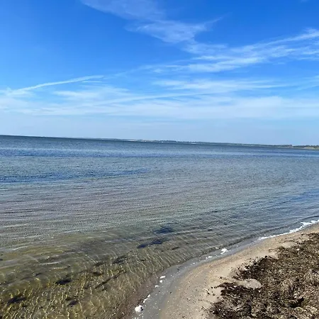 6 Person In Farso-by Traum