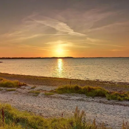 6 Person In Farso-by Traum *